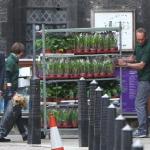A Westminster Abbey e Buckingham Palace fervono i preparativi per il royal wedding di William e Kate