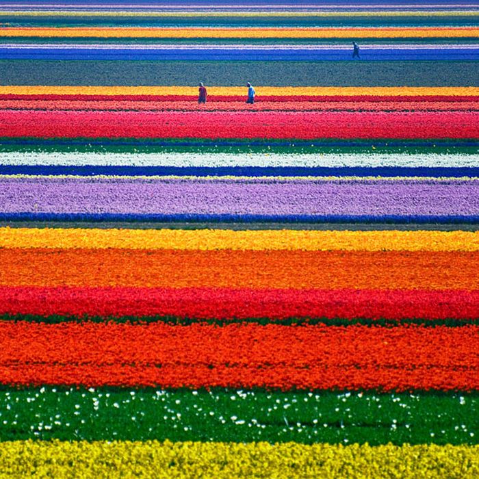 Paesaggi da sogno, le incredibili bellezze della natura