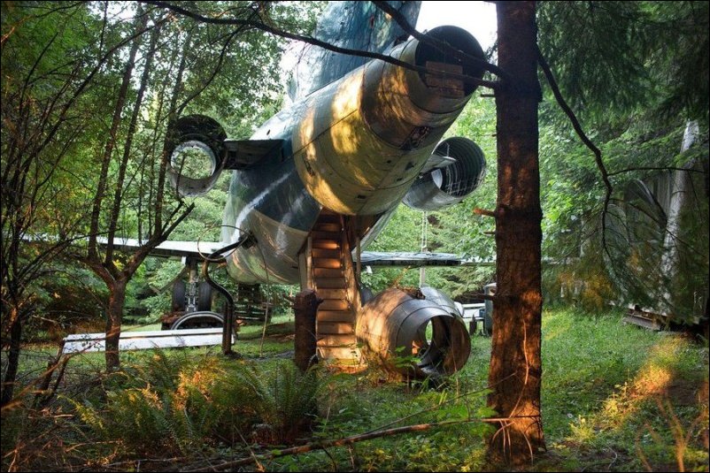 C'&egrave; un aereo nel bosco: &egrave; la casa di Bruce Campbell